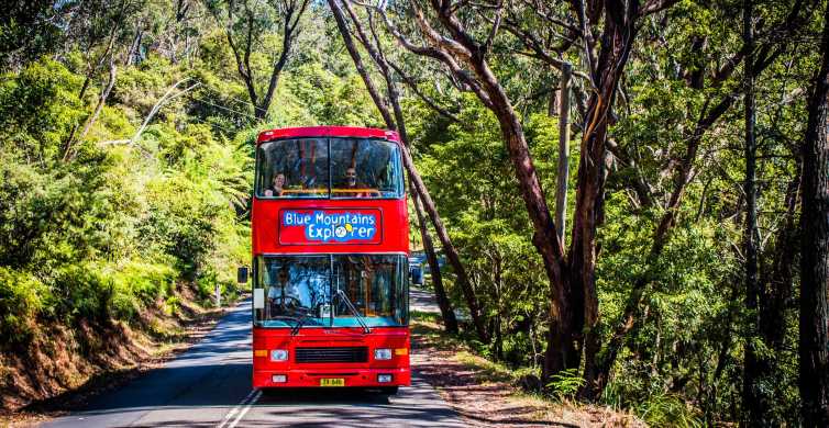 Blue Mountains Hop on off & Scenic World Rides Pass