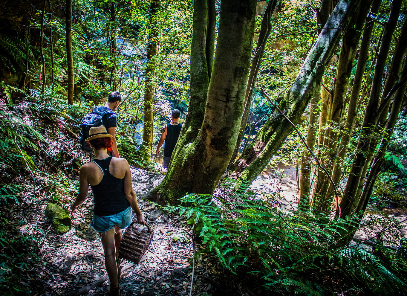 Katoomba: Lyrebird Hop-On Hop-Off og Scenic World Pass