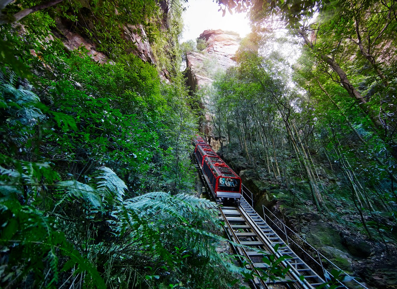 Katoomba: Lyrebird Hop-On Hop-Off og Scenic World Pass