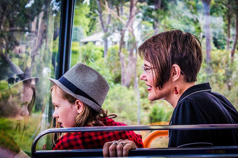 Katoomba: hop-on, hop-off-bustour van een hele dag door de Blue Mountains