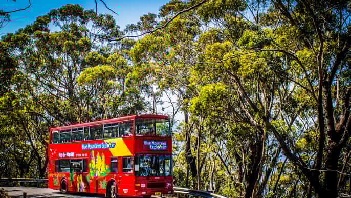 blue mountains explorer bus 1day hopon hopoff tour
