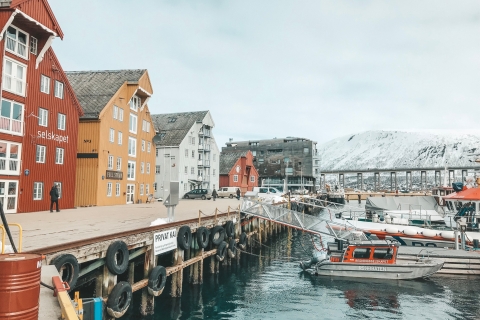 Tromsø: Private City Tour 5 hour tour