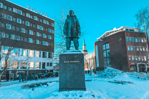 Tromsø: Private City Tour 4 hour tour