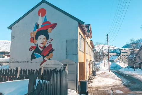 Tromsø: tour privado por la ciudadrecorrido de 3 horas