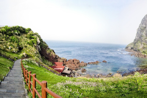 Jeju: UNESCO Sites Tour with Haenyeo Show(Eastern)