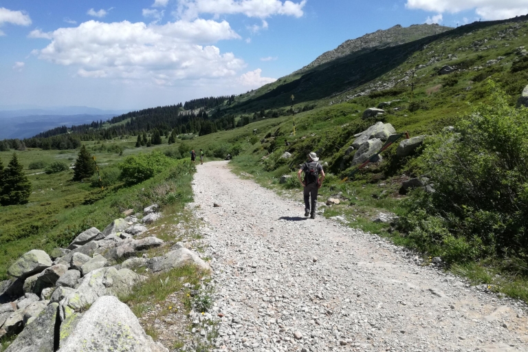 Excursión de senderismo de día completo a Vitosha y Cherni Vruh Peak