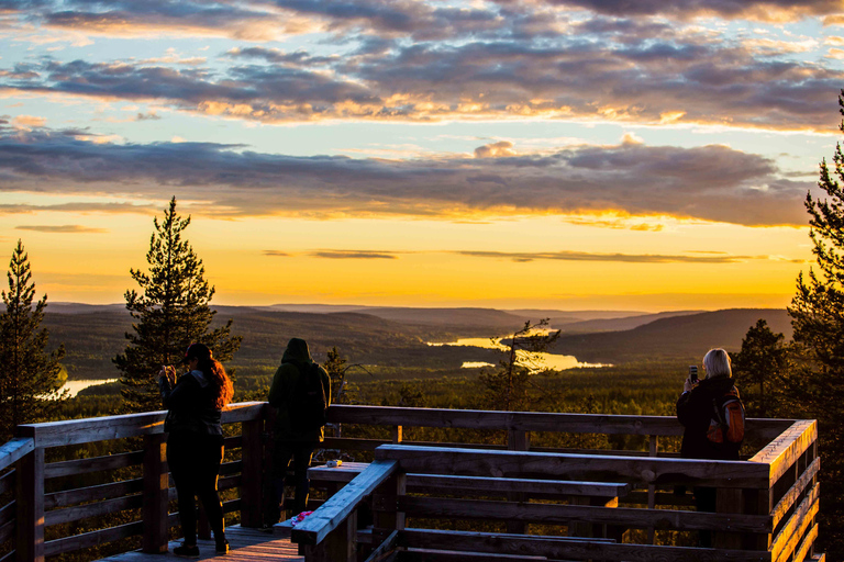 Rovaniemi: Midnight Sun Photography Tour