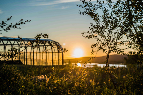 Rovaniemi: Midnight Sun Photography Tour