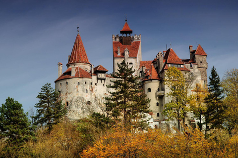 Boekarest: Peles, Kasteel van Dracula &amp; Brasov Tour in kleine groep