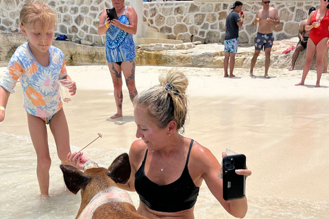 007-Mañana Todo Incluido Nadar con Cerdos en la Isla Rosa007 Todo Incluido-Nadar con cerdos en la Isla Rosa