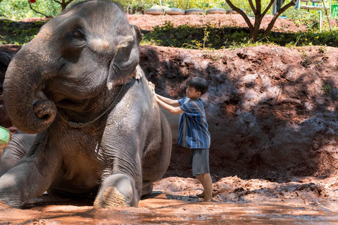 Chiang Mai : Olifantenopvang Elephant Eco Park