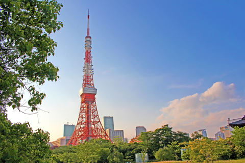 Tokyo: 70mins Open Top Sightseeing Bus with Audio GuideBay Course 12:40 Departure