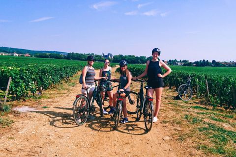 Dijon: Half-Day Guided Gourmet Bike Tour