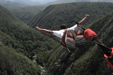 Plettenberg Bay: Jump/Winch-Ride & Skywalk Tour Experience