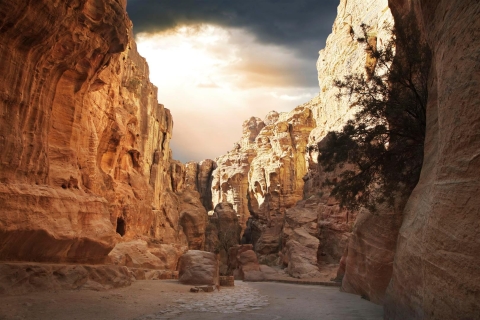 Od Eilat: Petra Day Private TourWycieczka w języku hiszpańskim