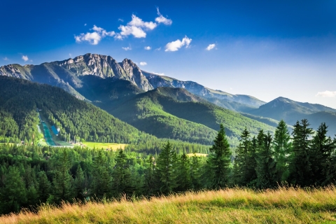Vanuit Krakau: dagtocht naar Zakopane en het Tatra-gebergteTour in het Engels