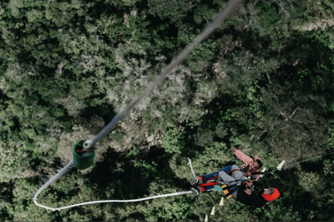 Plettenberg Bay: Jump/Winch-Ride & Skywalk Tour Experience