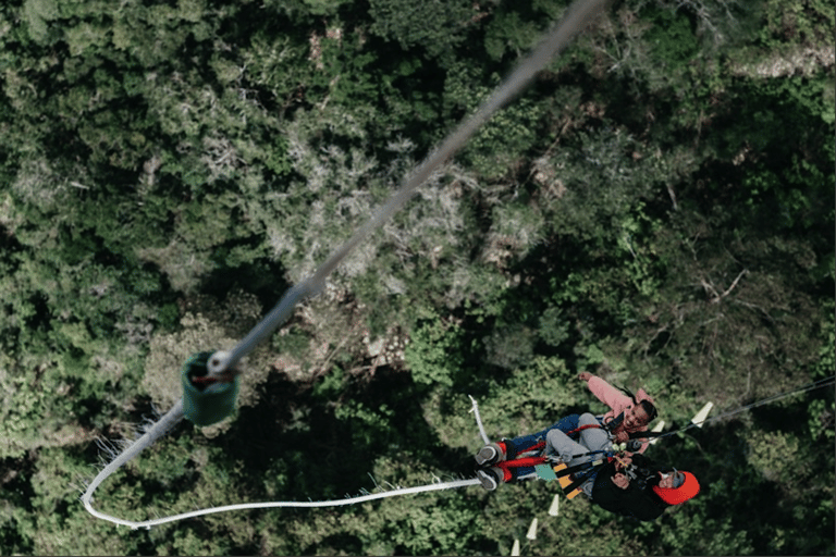 Plettenberg Bay: Jump/Winch-Ride & Skywalk Tour Experience