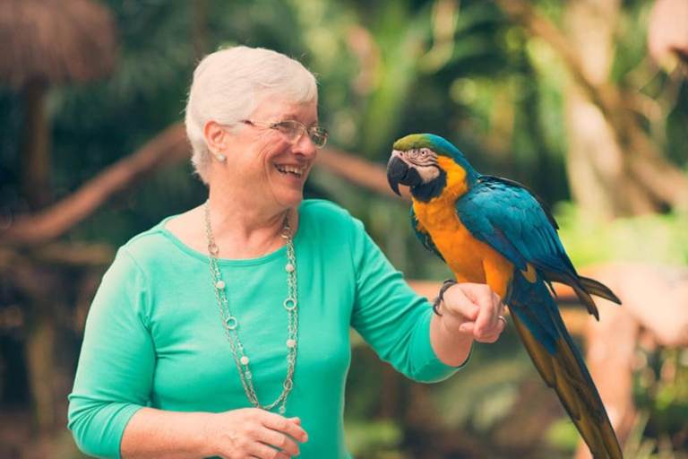 Z Puerto Iguazú: wycieczka po brazylijskim parku ptaków z biletamiWycieczka po parku ptaków — prywatna