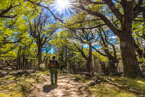 From El Calafate: Full-Day Tour to El Chaltén Full-Day Group Tour to El Chaltén with Lunch