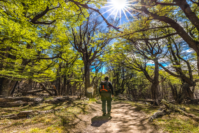 From El Calafate: Full-Day Tour to El Chaltén Full-Day Group Tour to El Chaltén with Lunch
