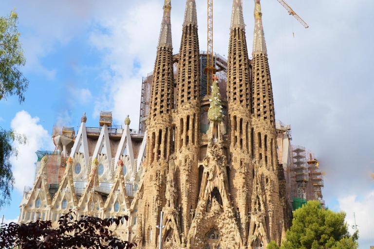 Barcelona: tour privado de la Sagrada FamiliaTour en francés