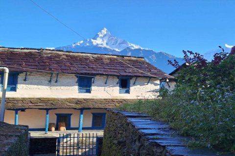 Pokhara : Excursión fácil de un día a Dhampus y el pueblo de Astam