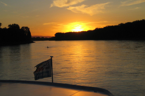 Boat Party on the Rhine