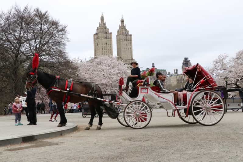 New York City Central Park HorseDrawn Carriage Ride GetYourGuide