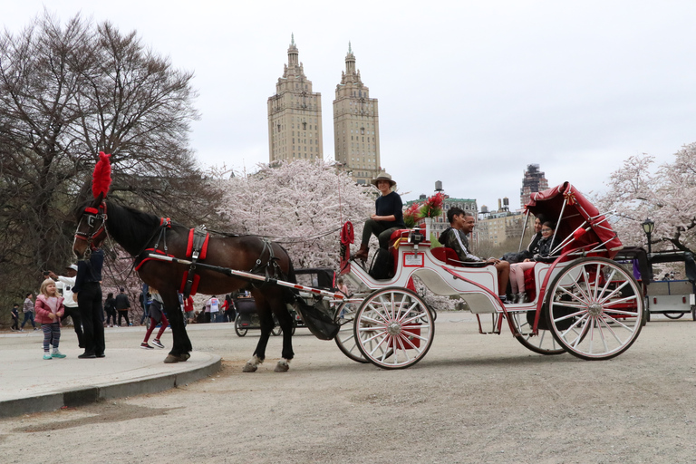 New York City: met de paardenkoets door Central Park