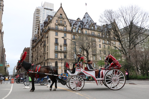 New York City: Central Park Horse-Drawn Carriage Ride