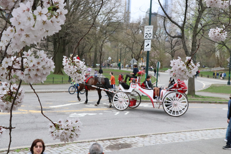 New York: tour romantique en calèche dans Central Park