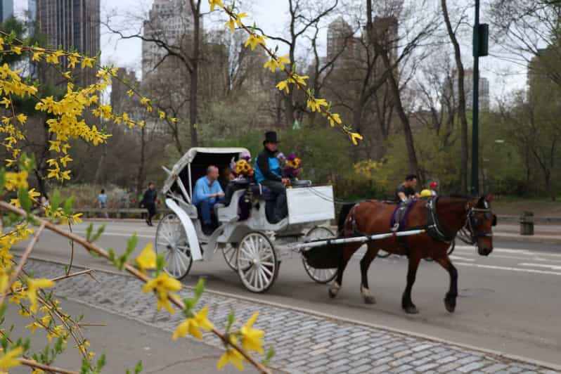 NYC: Guided Standard Central Park Carriage Ride (4 Adults) | GetYourGuide