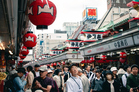 Tokyo Private & Customizable Tour with English Driver Guide