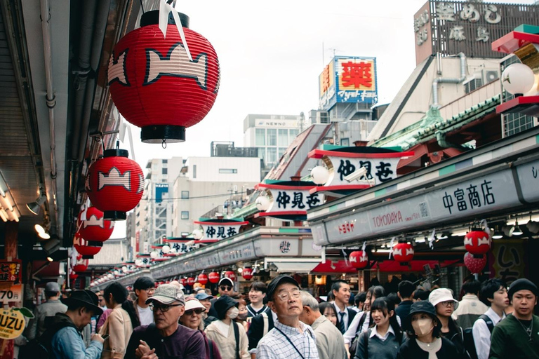 Tokyo Private & Customizable Tour with English Driver Guide
