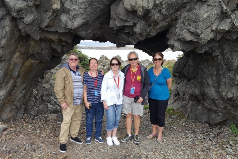 Wellington: Cave to Coast Highlights Wycieczka z przewodnikiem