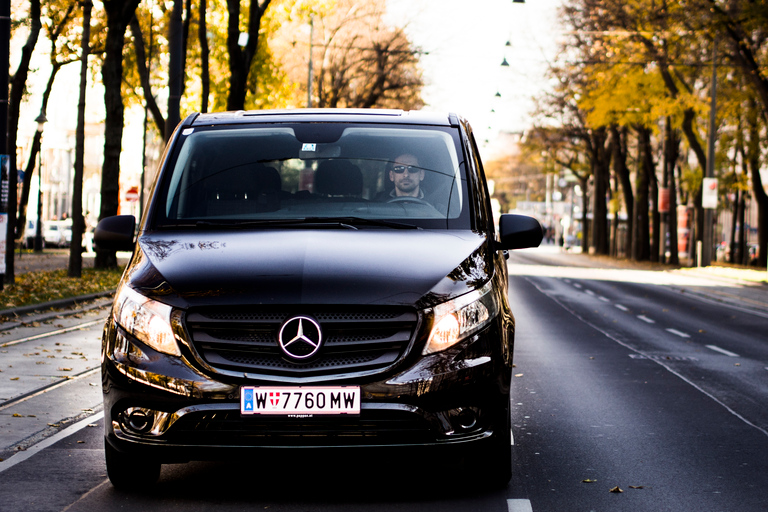 Viena: tour privado en furgoneta de 3 horas por los lugares destacados de la ciudad