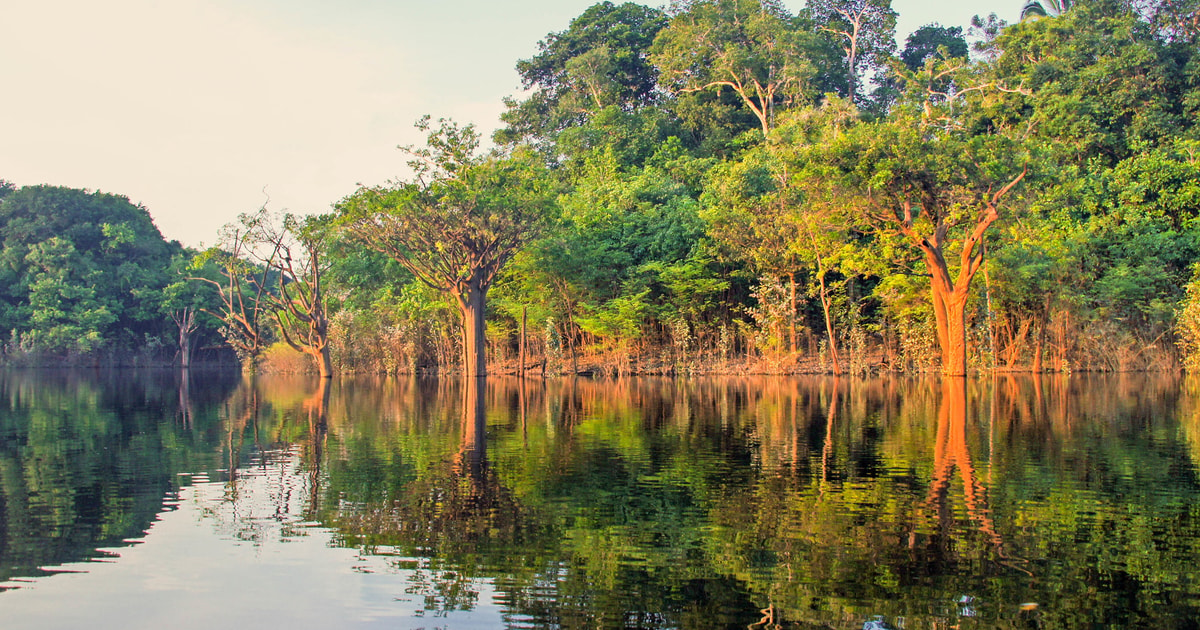 manaus walking tour