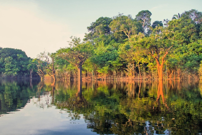 Manaus: halve dag wandeltocht door jungle Amazone