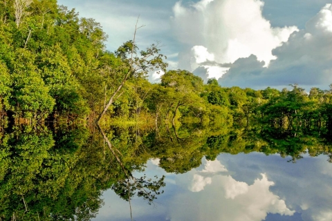 Manaus: halve dag wandeltocht door jungle Amazone