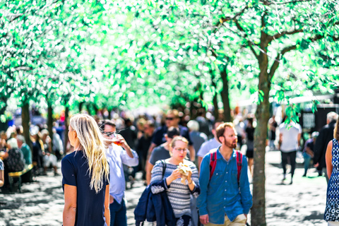 Stockholm : visite guidée à pied de la villeVisite privée