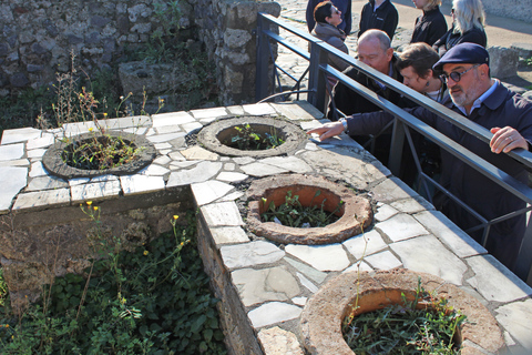 Pompeji: Gruppentour ohne Anstehen mit Archäologen-GuidePrivate Tour