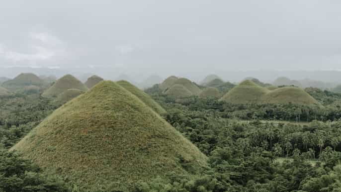 from cebu day trip to bohol highlights