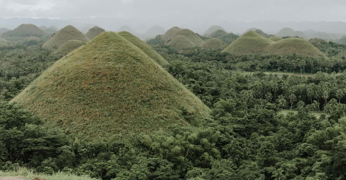 From Cebu Day Trip To Bohol Highlights Getyourguide