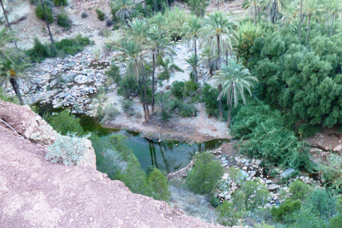 De Marrakech a Agadir : Excursión privada de un día con teleféricoOpción Estándar