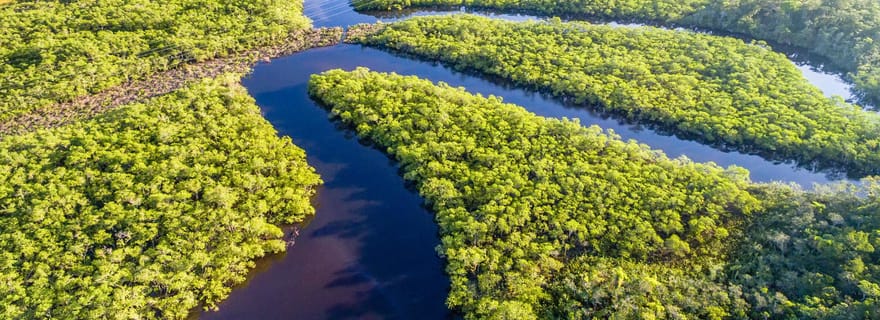 Manaus : randonnée dans la jungle amazonienne et l'archipel d'Anavilhanas