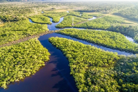 Manaus: trektocht Amazone-jungle en Anavilhanas-archipel