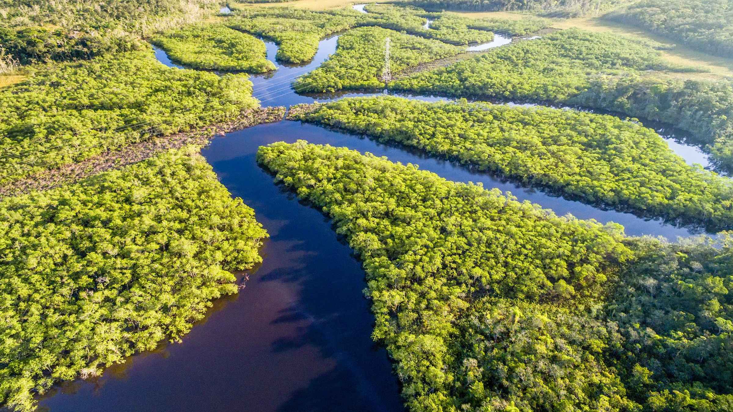 Manaus: Caminhada pela Selva Amazónica e pelo Arquipélago de Anavilhanas