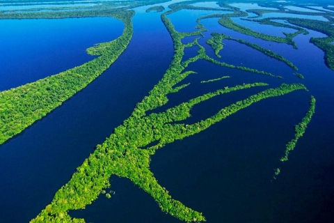 Manaus: Amazonas Jungle Trek & Anavilhanas Archipelago Manaus: Amazonas Jungle Trek & Anavilhanas Archipelago.