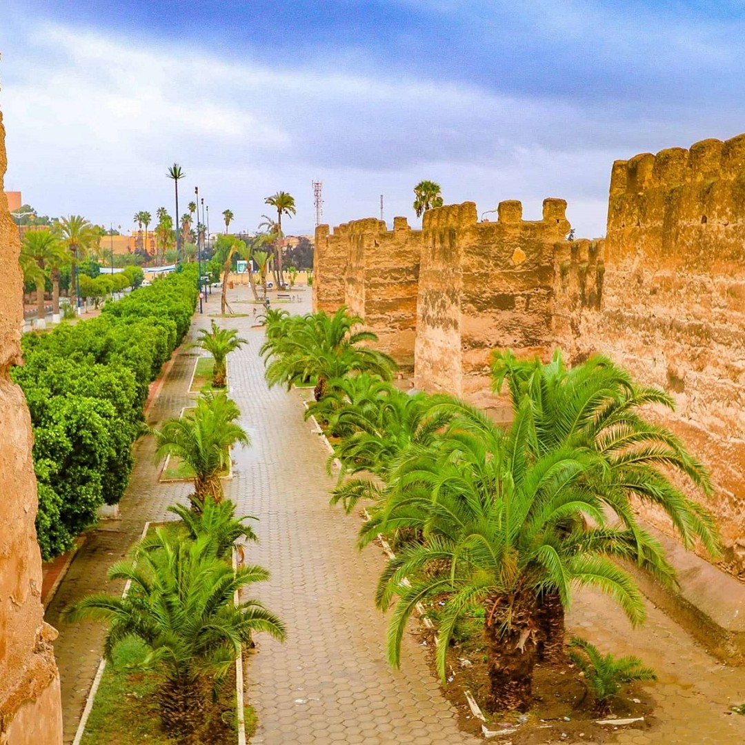Agadir : Excursion d'une journée à l'oasis de Taroudant et Tiout avec option déjeuner